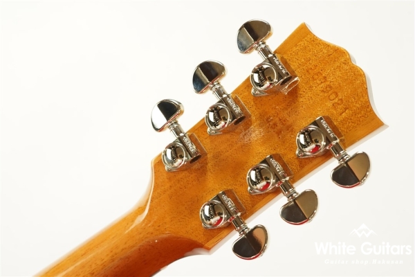 Hummingbird Studio - Walnat Burst